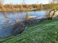 Imagine atasata: aaa (3).jpg